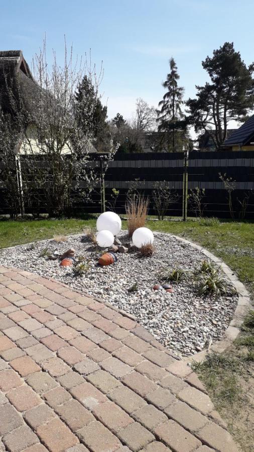 Ferienwohnung Born Am Darsswald Eg Bagian luar foto